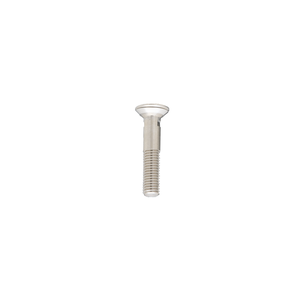 SPECIAL_STAINLESS_STEEL_SCREW